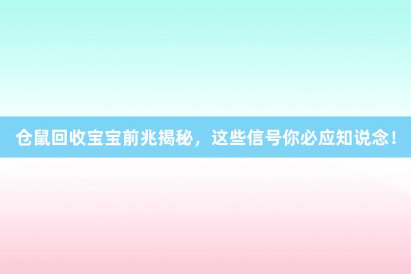 仓鼠回收宝宝前兆揭秘，这些信号你必应知说念！