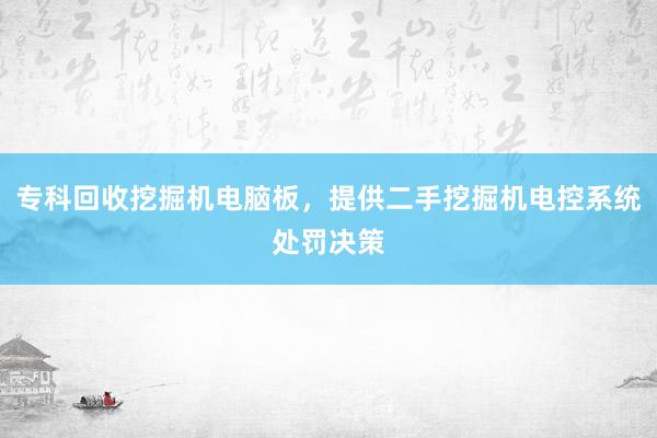 专科回收挖掘机电脑板，提供二手挖掘机电控系统处罚决策