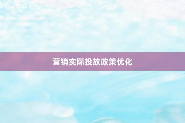营销实际投放政策优化
