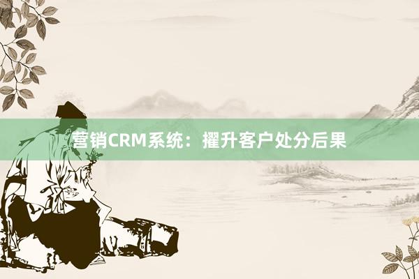 营销CRM系统：擢升客户处分后果