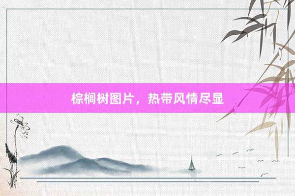 棕榈树图片，热带风情尽显
